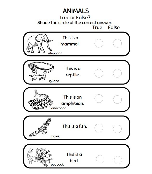 Preview page