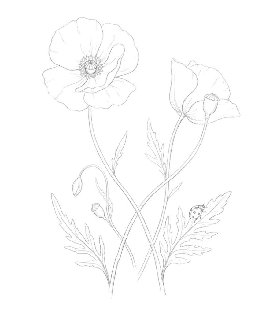 Preview page
