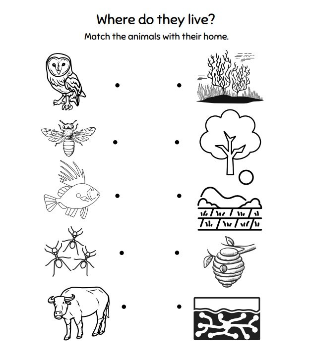 Preview page