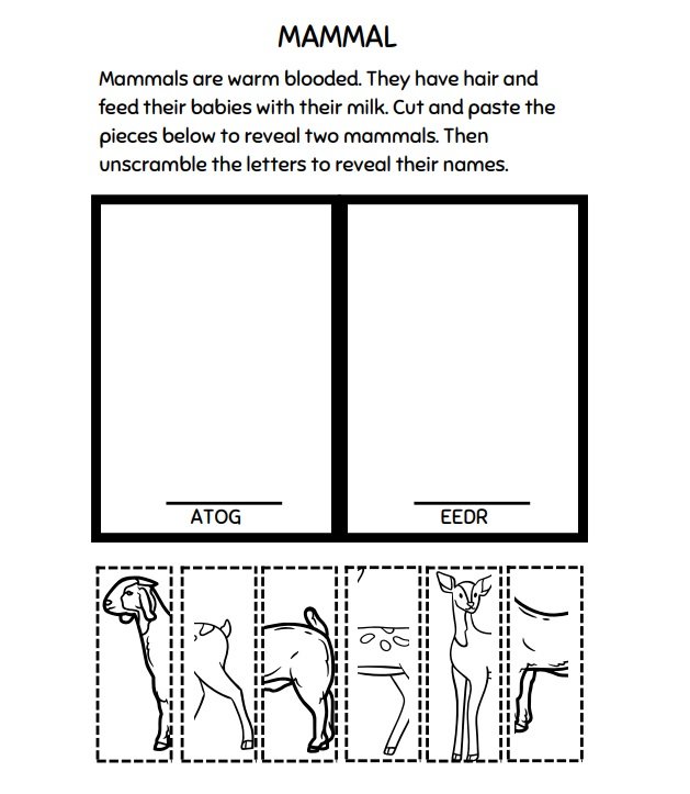 Preview page