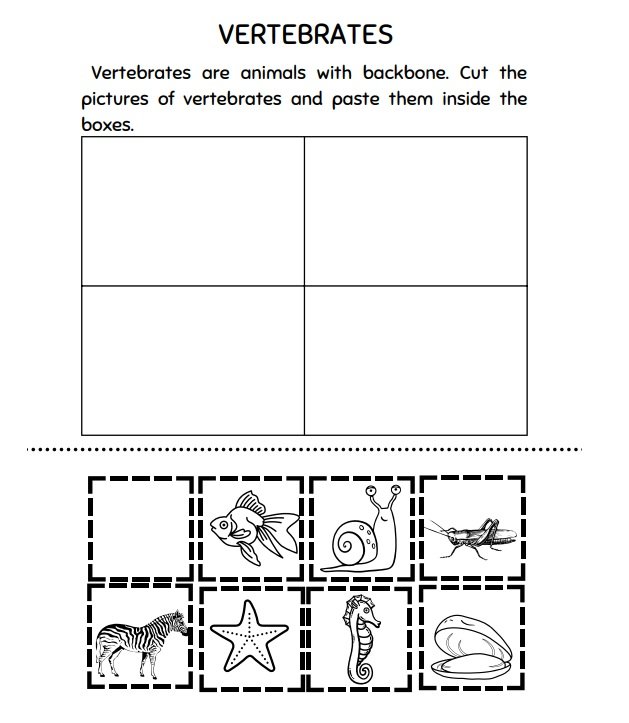 Preview page