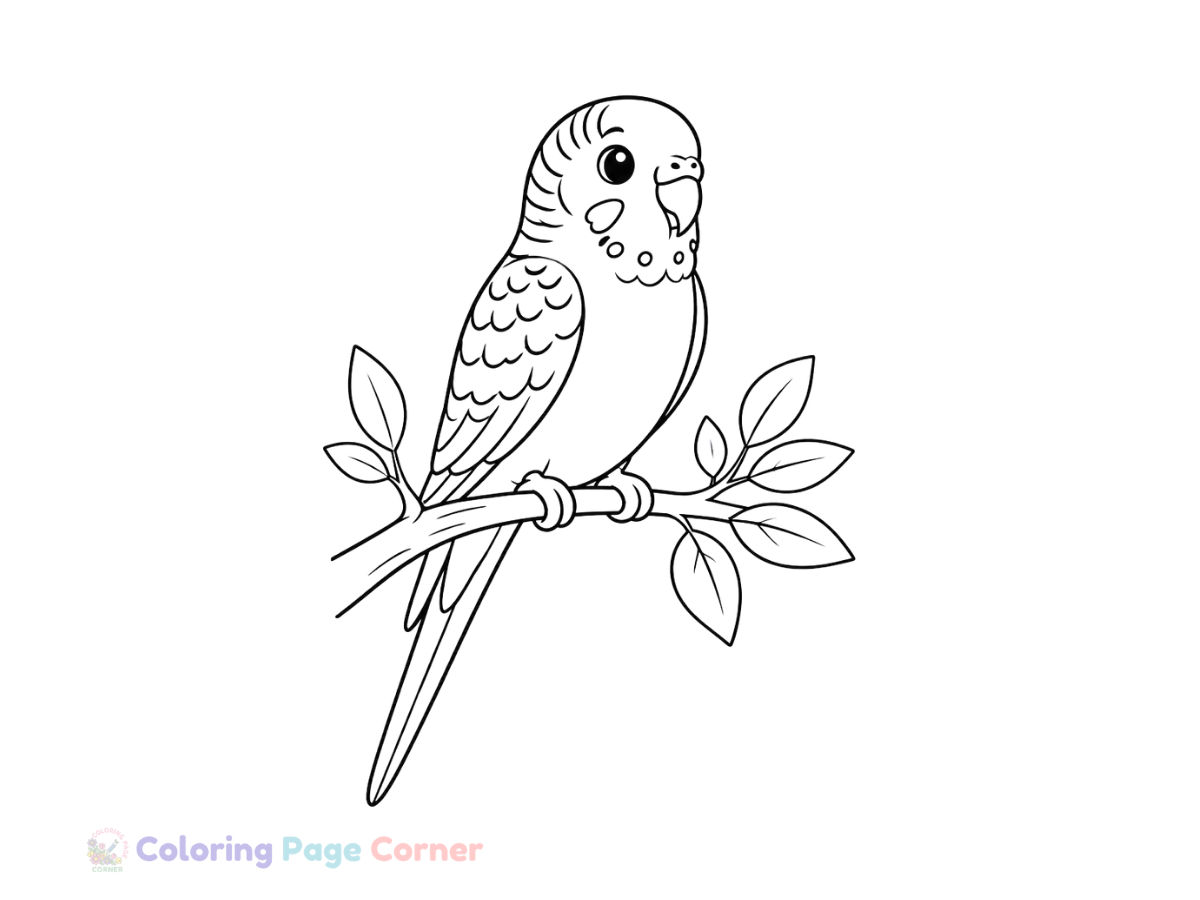 Free Parakeet on a Branch Coloring Page outline